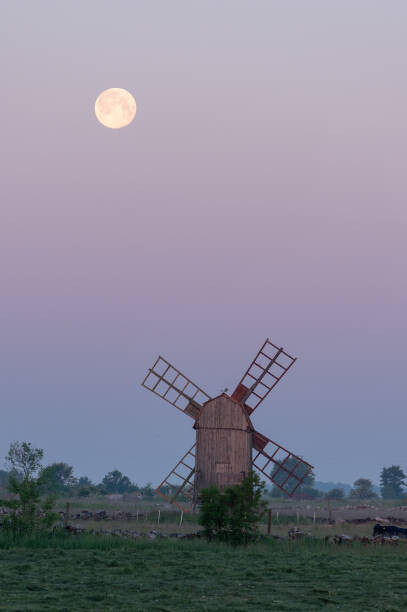 Футболка Old Windmill with the moon