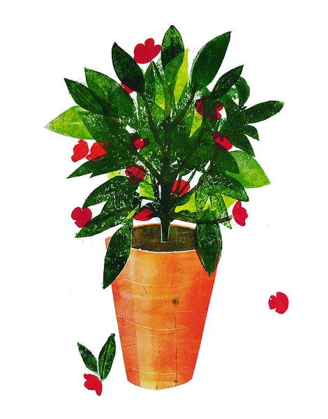 Majica Orange pot 2020