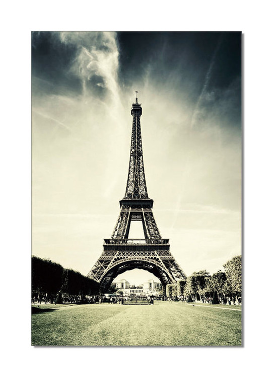 Paris - Eiffel tower Mounted Art Print