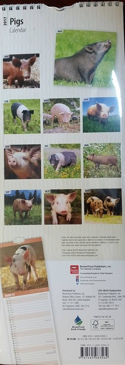 Calendar 2021 Pigs