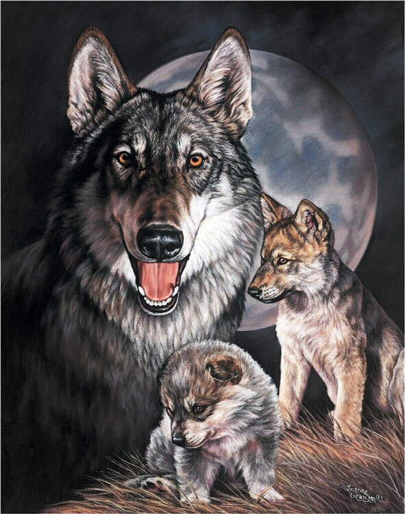Placa metálica GRAHAM - Wolf Experience
