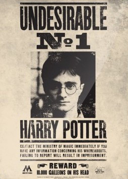 Placa Metálica Slytherin - Harry Potter