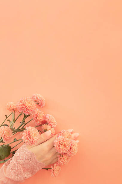 Plakat Creative beauty flat lay of gentle