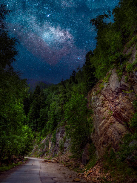 Plakat Trees by road against sky at night,Romania