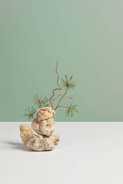 Poster Abstract minimal nature still life composition