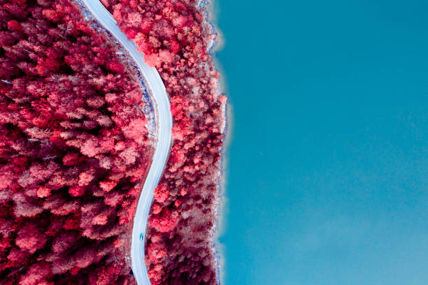 Poster Fantasy coastal road with infrared colors