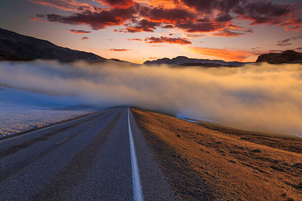Poster The road in the fog at sunset. Norway