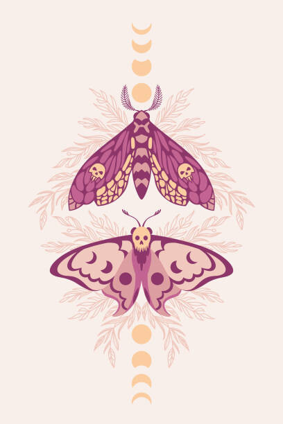 Poster Vector pattern with night moths and