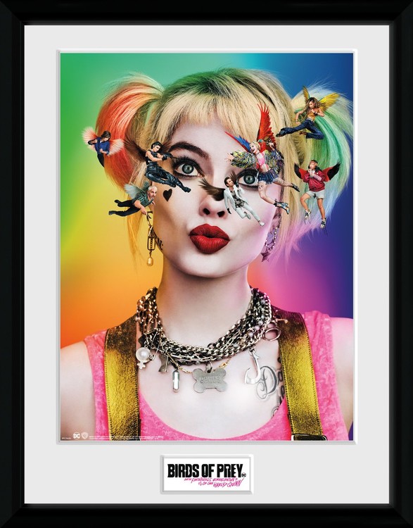 Birds Of Prey And The Fantabulous Emancipation Of One Harley Quinn One Sheet Framed Poster Buy At Ukposters