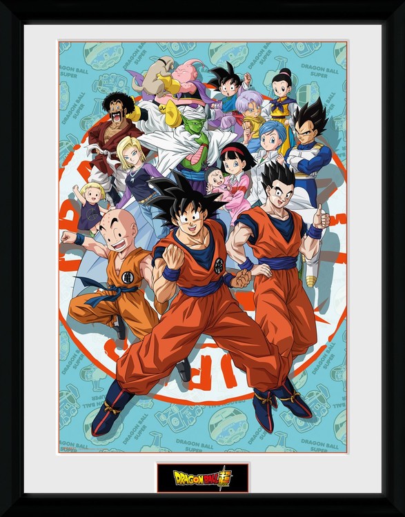 Dragon Ball Super Universe Group Framed Poster Buy At Europosters