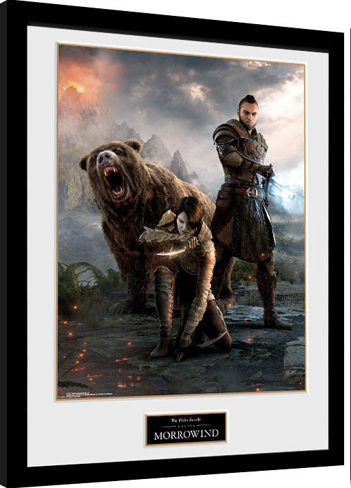 onenigheid Met pensioen gaan iets Elder Scrolls Online: Morrowind - Trio Framed poster | Buy at Europosters