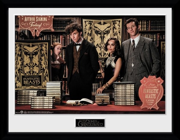 Framed Door Movie Poster Details about   Fantastic Beasts And Where To Find Them 22" x 63" 