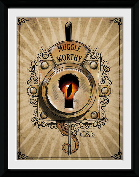 ... Where To Find Them - Muggle Worthy plastic frame : Buy at Europosters