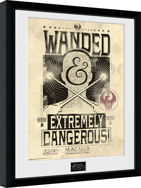 Framed poster Fantastic Beasts And Where To Find Them - Wanded