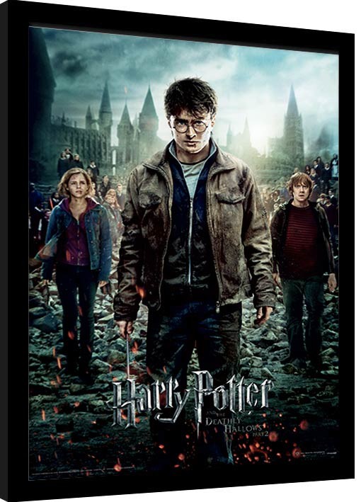 Harry Potter and the Deathly Hallows: Part I Movie Poster Print (27 x 40)