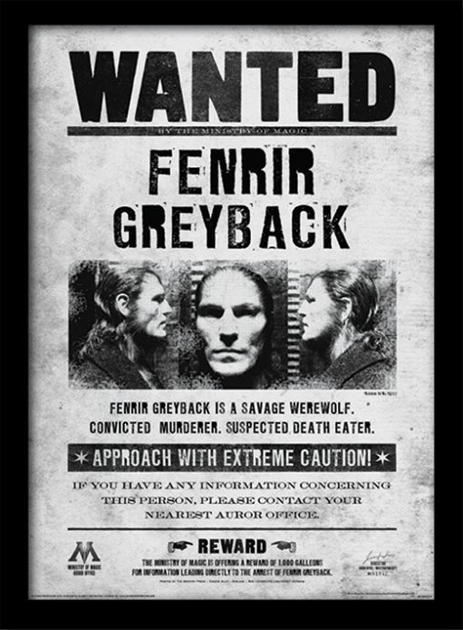 Harry Potter - Fenrir Wanted Framed poster | Buy at ...