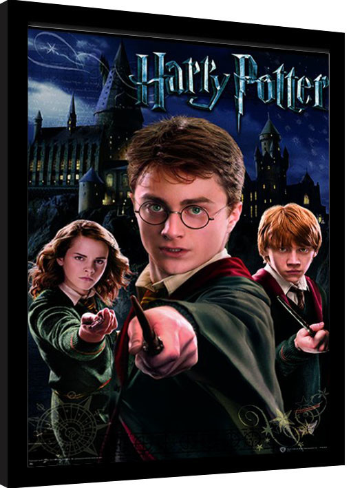 Harry Potter 1st Film Cinema Promo Postcard Ron & Hermione 
