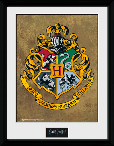 Framed poster Harry Potter - Hogwarts