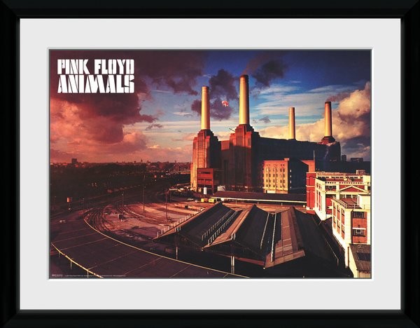 Pink Floyd - Animals Framed poster | Buy at Europosters