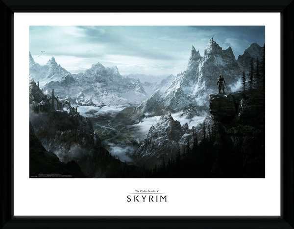 Framed poster Skyrim - Vista