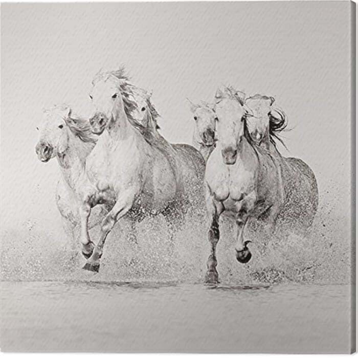 Slika na platnu Carys Jones - Splash