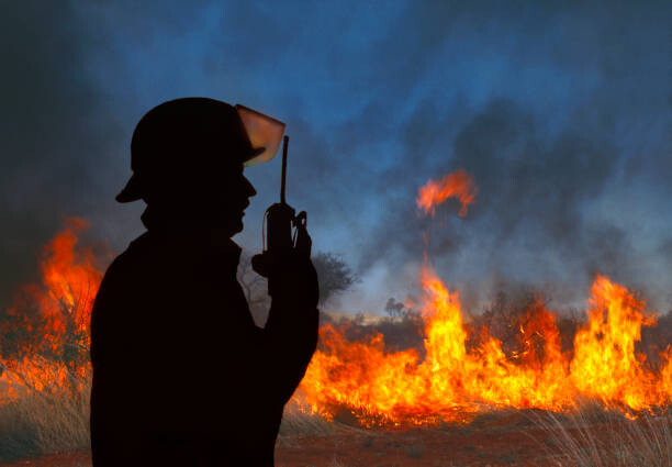 Slika na platnu Fireman on radio