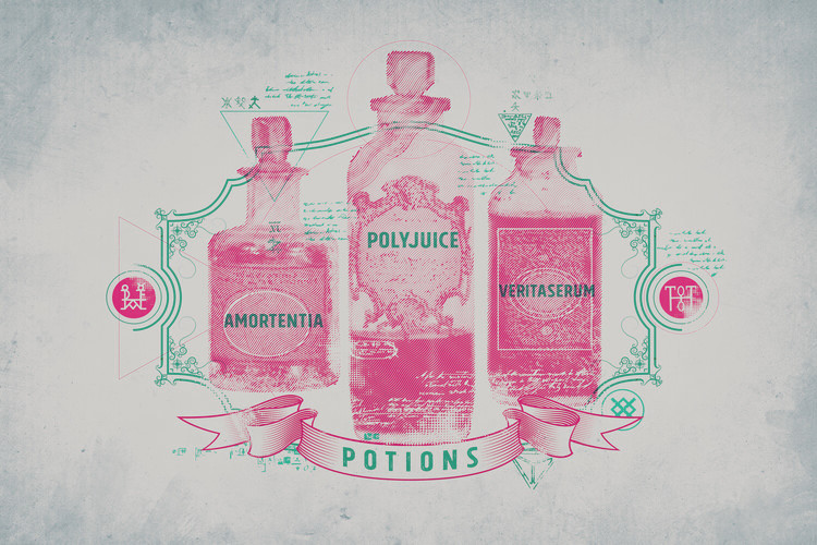 Slika na platnu Harry Potter - Potions