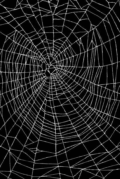 Slika na platnu Spider Web Pattern