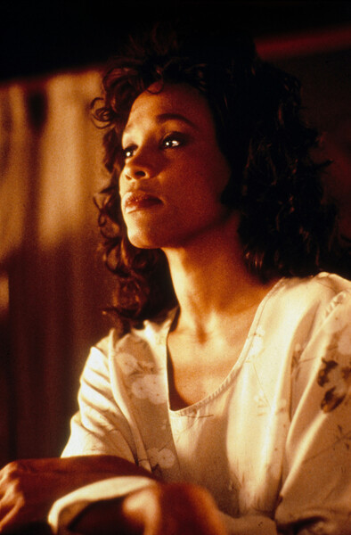 Slika na platnu Whitney Houston, Waiting to Exhale, 1995