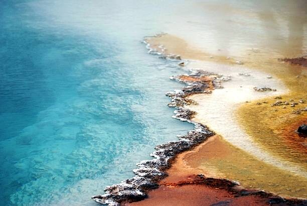 Slika na platnu Yellowstone Geyser