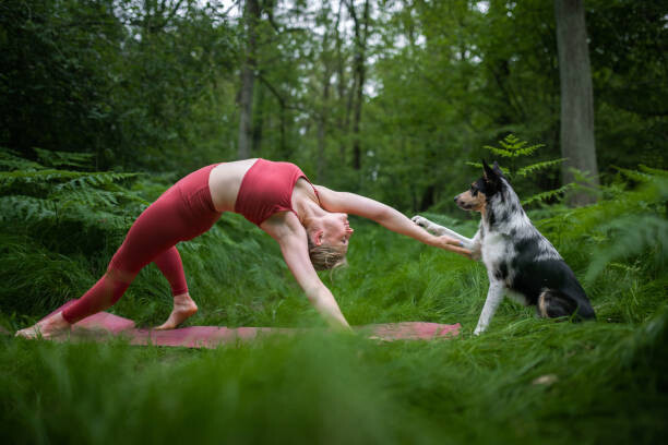 Slika na platnu Young woman practicing yoga in nature