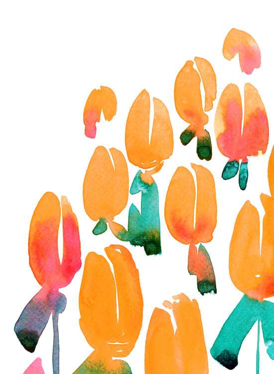 Illustration Alicia's garden