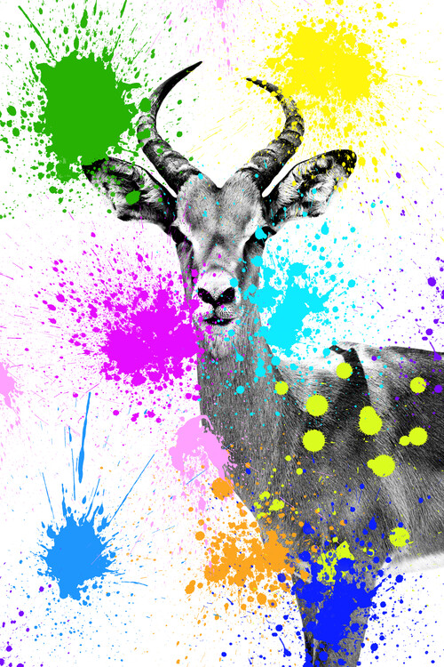 Art Print on Demand Antelope Reedbuck