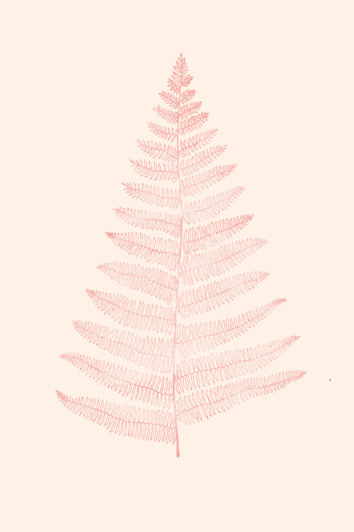 Illustration Botanica Minimalistica Rouge