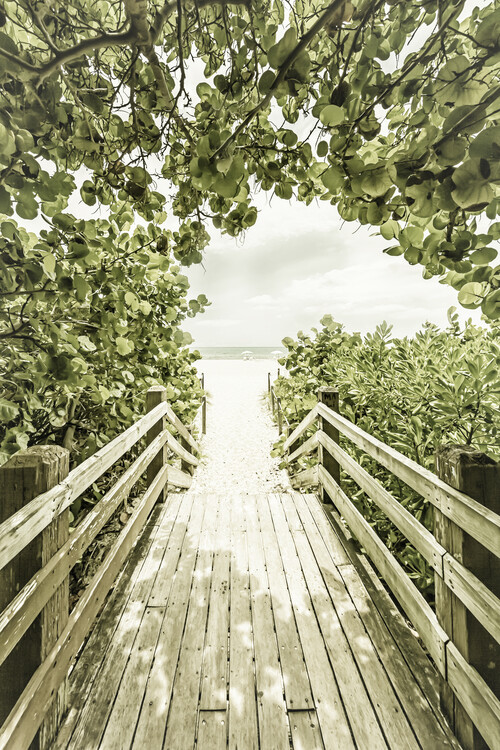 Art Print on Demand Bridge to the beach with mangroves | Vintage