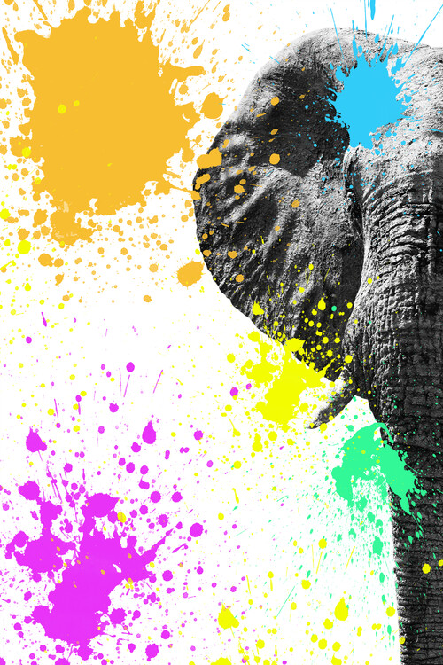 Art Print on Demand Elephant Portrait II