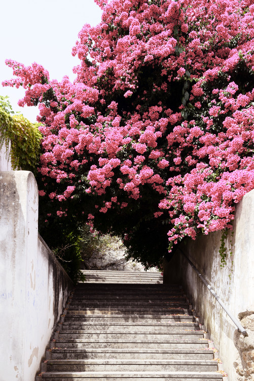 Art Print on Demand Flowery Staircase