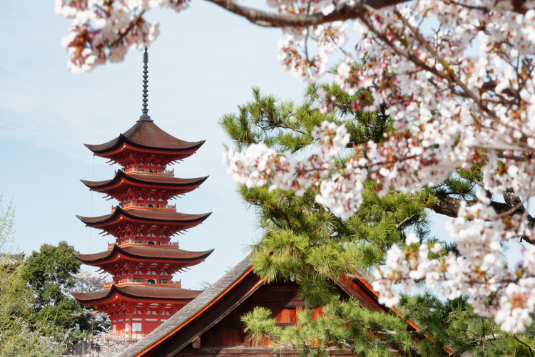 Art Print on Demand Miyajima Pagoda with Sakura