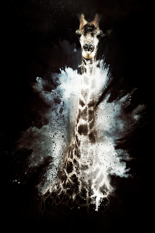 Art Print on Demand The Giraffe