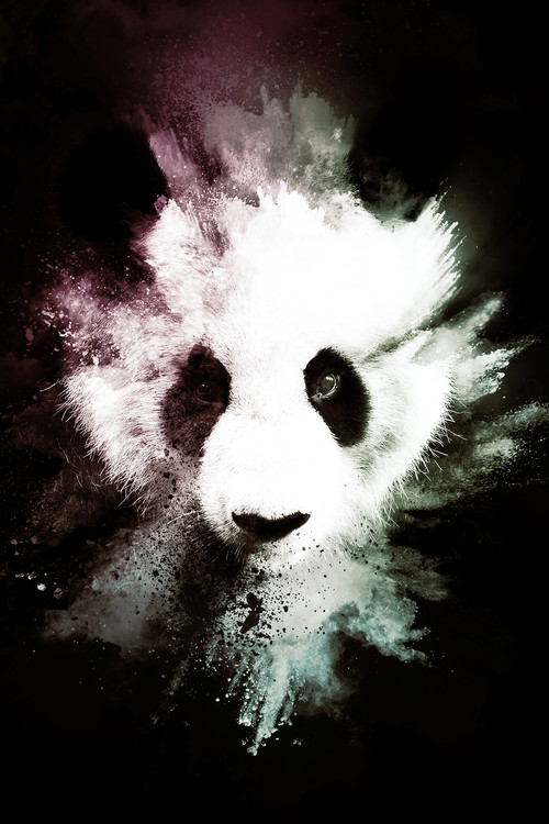 Art Print on Demand The Panda