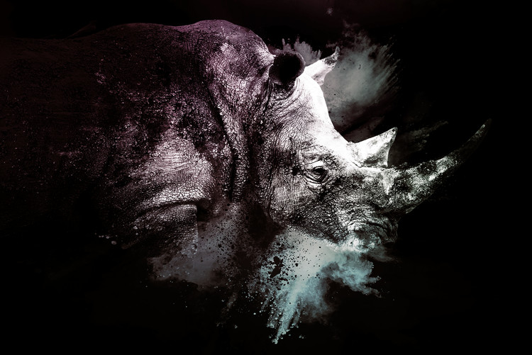 Art Print on Demand The Rhino