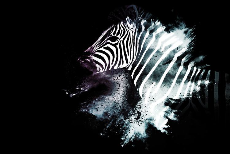 Art Print on Demand The Zebra