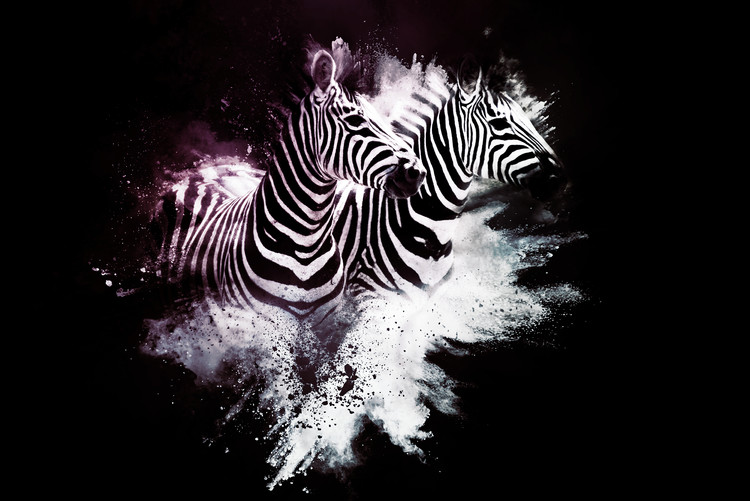 Art Print on Demand The Zebras