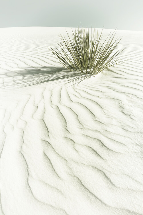 Art Print on Demand WHITE SANDS Vintage scenery