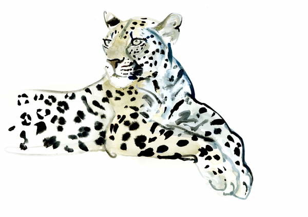 Naljepnica Poise, 2015,