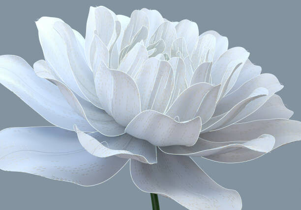 Poster Beauty tech flower