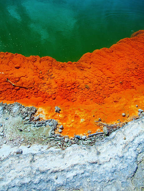 Poster Champagne pool structure