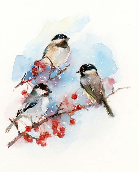 Poster Chickadees with Berries, 2017,