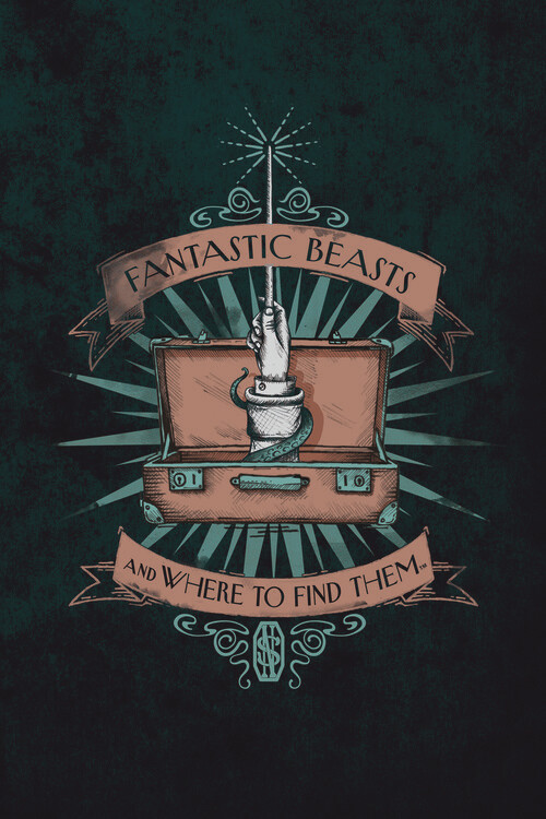 Poster Čudesne zvijeri - Magic case