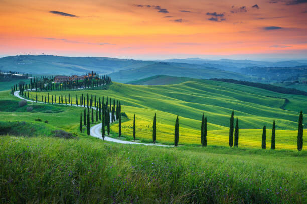 Poster Famous Tuscany landscape with curved road